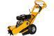 Подрібнювач пнів Lumag BSF 15 4-тактний бензиновий двигун Loncin 9 кВт ширина 80 см глибина подрібнення 235 мм вага 110 кг BSF-15 фото 1