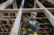 Пила шабельна акумуляторна безщіткова DeWALT DCS369NT 18V XR Li-lon вага 1.43 кг максимальна глибина різу 90 мм DCS369NT фото 5