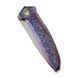 Ніж складаний Weknife Acuminal WE23070-4 вага 127.2 г довжина 228.2 мм титан 6AL4V прямий заточення кишеньковий туристичний WE23070-4 фото 4
